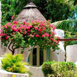Hotel Casuarina Resort and Spa