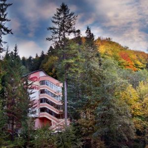 Hotel Dobru