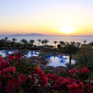 Pickalbatros Royal Grand Sharm Adults Friendly 16 Years Plus