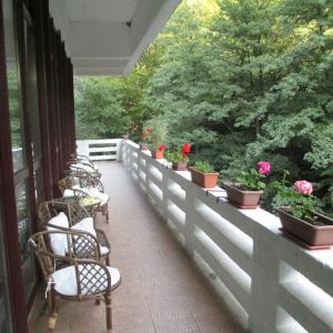 Hotel Roman