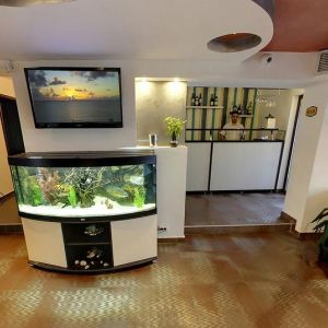 Hotel Solymar