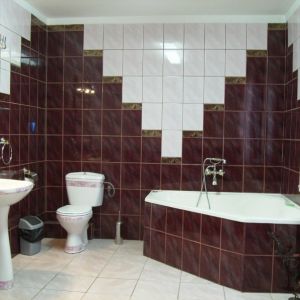 Hotel Conacul Domnesc