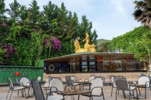 Hotel Grand Viking