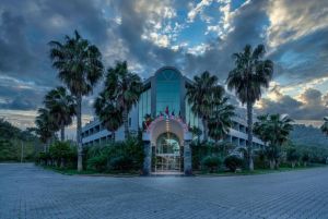 Hotel Grand Viking