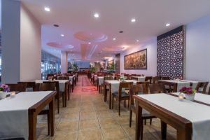 Hotel Grand Viking