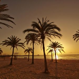 Hotel Club Palma Bay