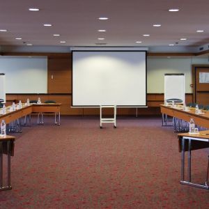 Hotel ibis Paris 17 Clichy Batignolles ( ex Berthier)