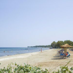 Hotel Alea and Suites