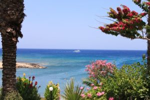 Hotel Crystal Springs Beach