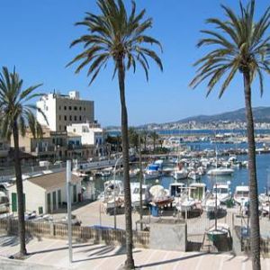 Program Social Mallorca