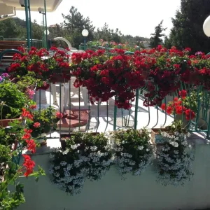 Hotel Zora
