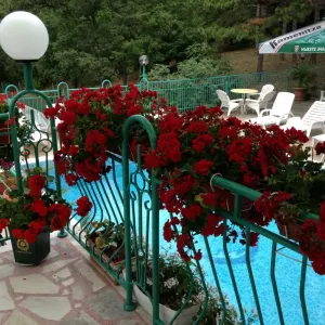 Hotel Zora