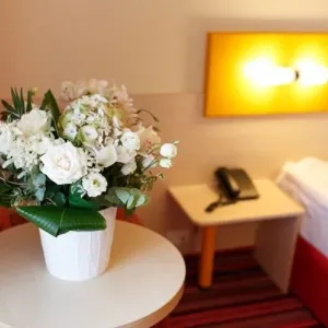 Hotel Zenith