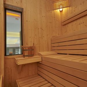Hotel Conacul Ambient