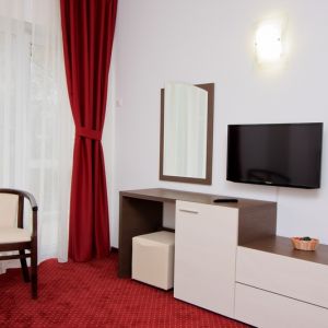 Hotel President Olanesti