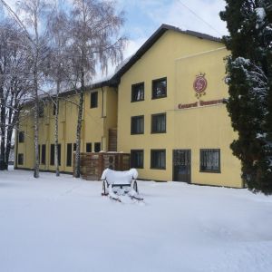 Hotel Conacul Domnesc