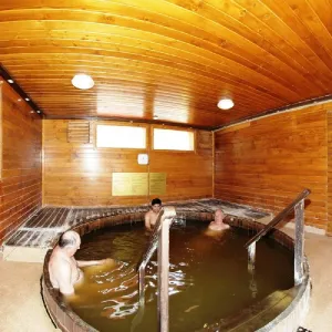 Hotel Alunis