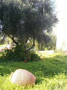 Hotel Hersonissos Village