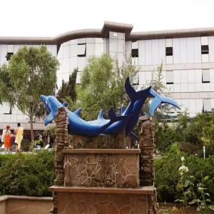 Hotel Anca