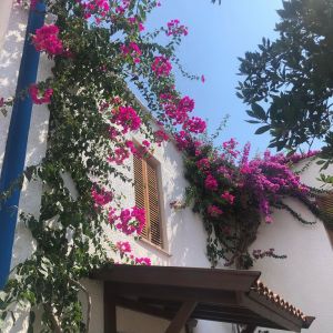 Club Kastalia Holiday Vilage