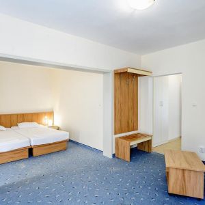 Hotel Journalist