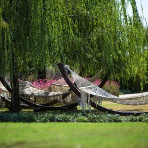 Hotel Xanthe Resort and Spa
