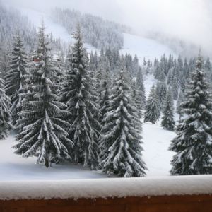 Senior Voyage Autocar Pensiunea Skipass