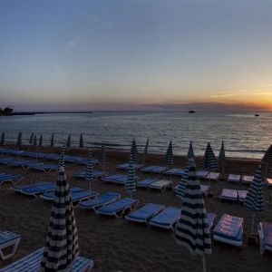 Hotel Lonicera World