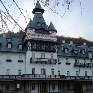 Hotel Central Calimanesti