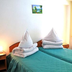 Hotel Bradul