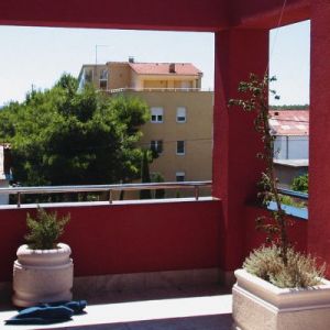 Vila Stedul
