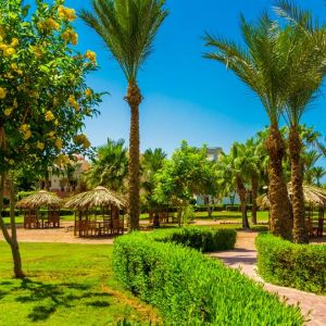 Hotel Serenity Alpha Beach (Ex. Serenity Makadi Beach)
