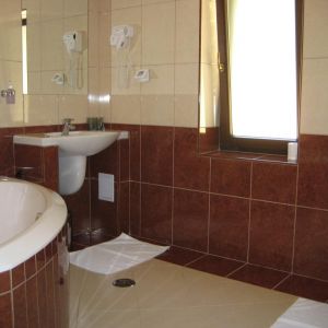 Hotel Casa Viorel