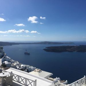 Kallisto (Adults Only)