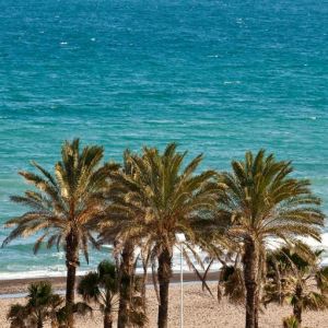 Hotel Catalonia Malaga (ex.Vincci Malaga)