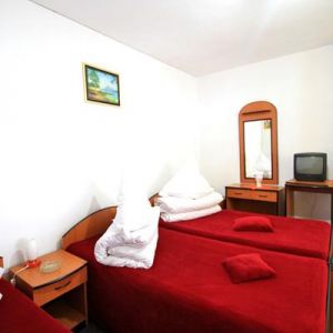 Hotel Bradul