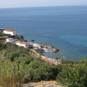 Villa Violetta