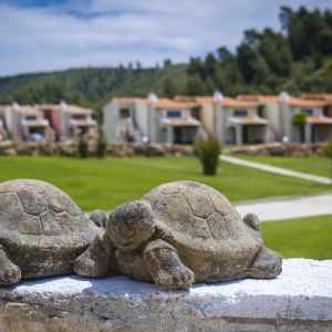 Nefeli Villas and Suites
