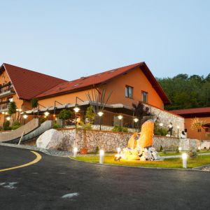 Hotel Belvedere Sovata