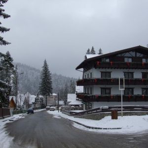 Hotel Ursuletul