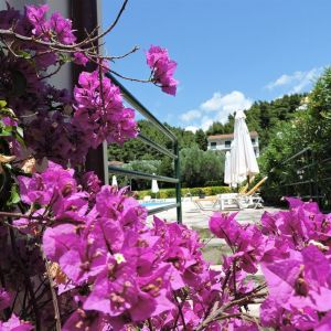 Hotel Julia