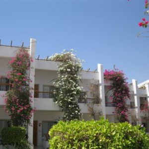 Hotel Menaville Safaga