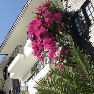 Lemas Suite Hotel