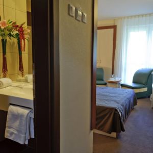 Hotel Bradul Vatra Dornei