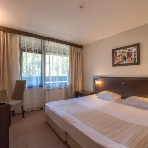 Hotel Lion Borovets