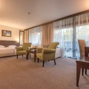 Hotel Lion Borovets
