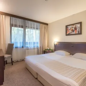 Hotel Lion Borovets