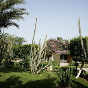 Hotel Shams Safaga Beach Resort