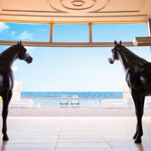 Grecotel Astir Alexandroupolis Hotel