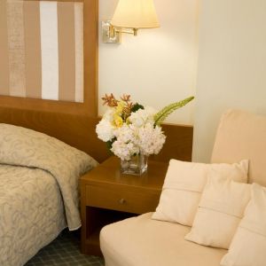 Hotel Best Western Plaza